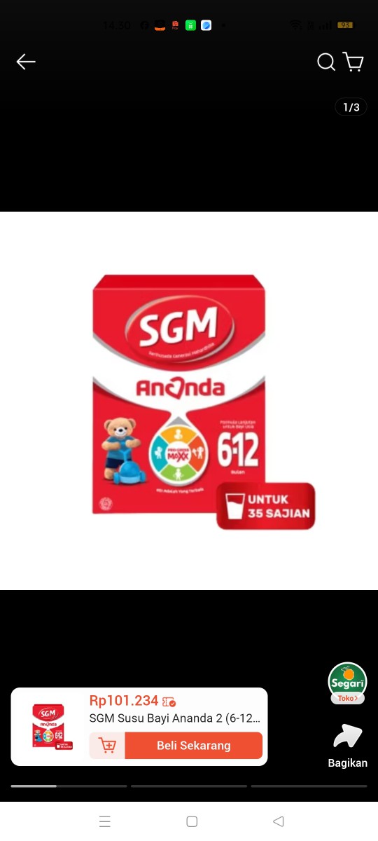 SGM ANANDA 2 1000GR(10)